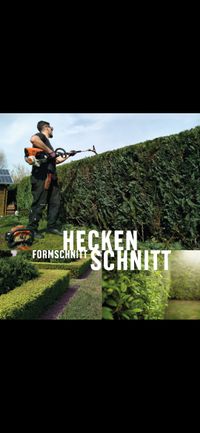 Heckenschnitt Formschnitt Hecke 2024